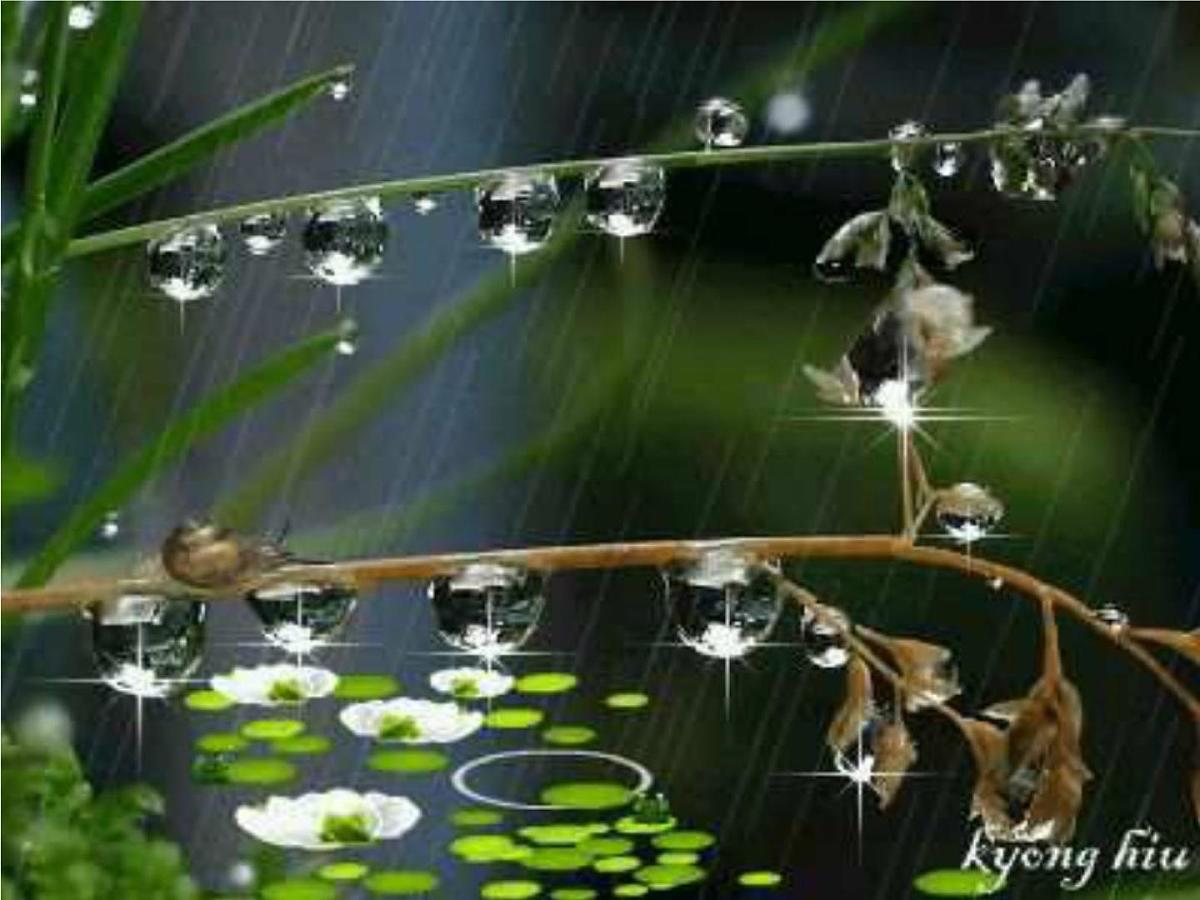 大班科学课件：雨的好处和危害（ppt）第3页
