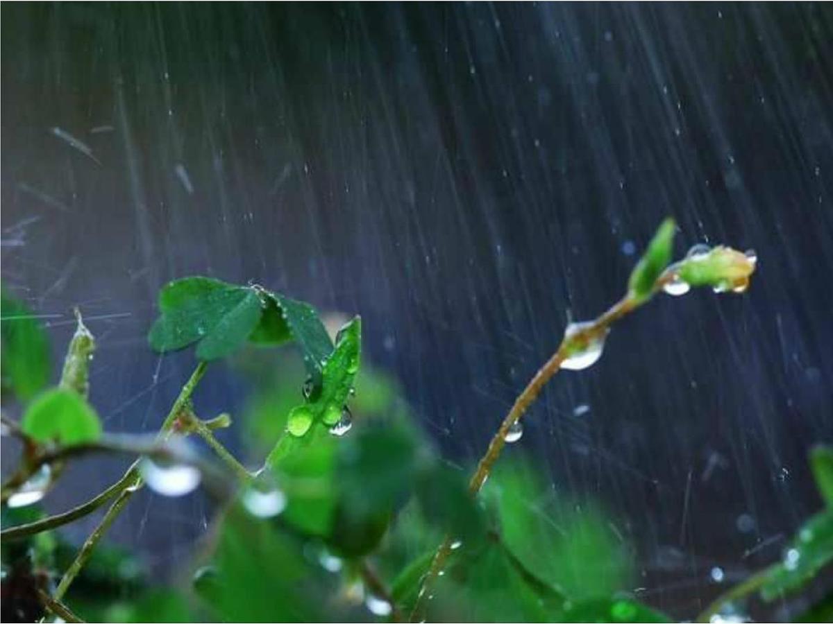 大班科学课件：雨的好处和危害（ppt）第4页