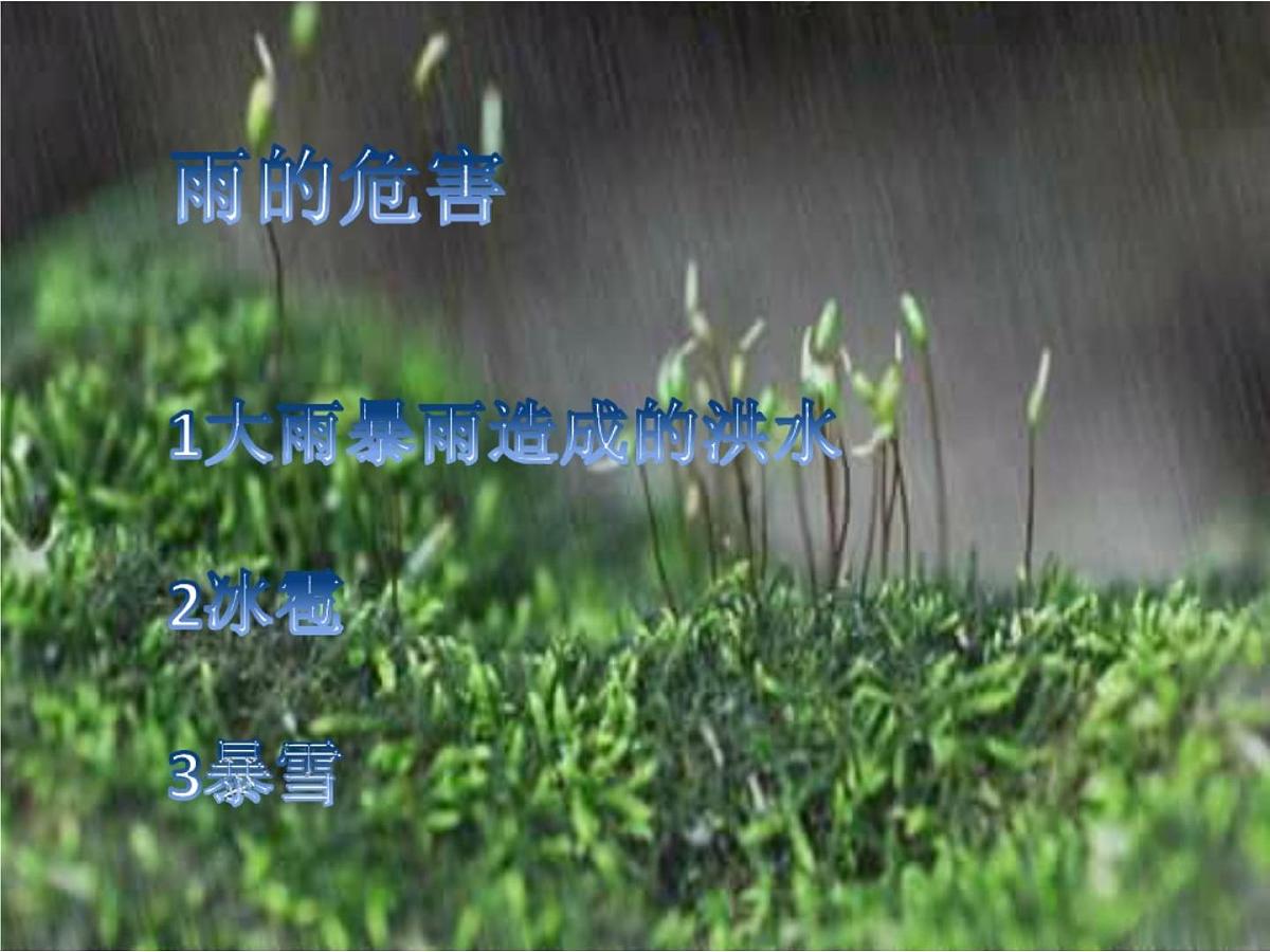 大班科学课件：雨的好处和危害（ppt）第6页