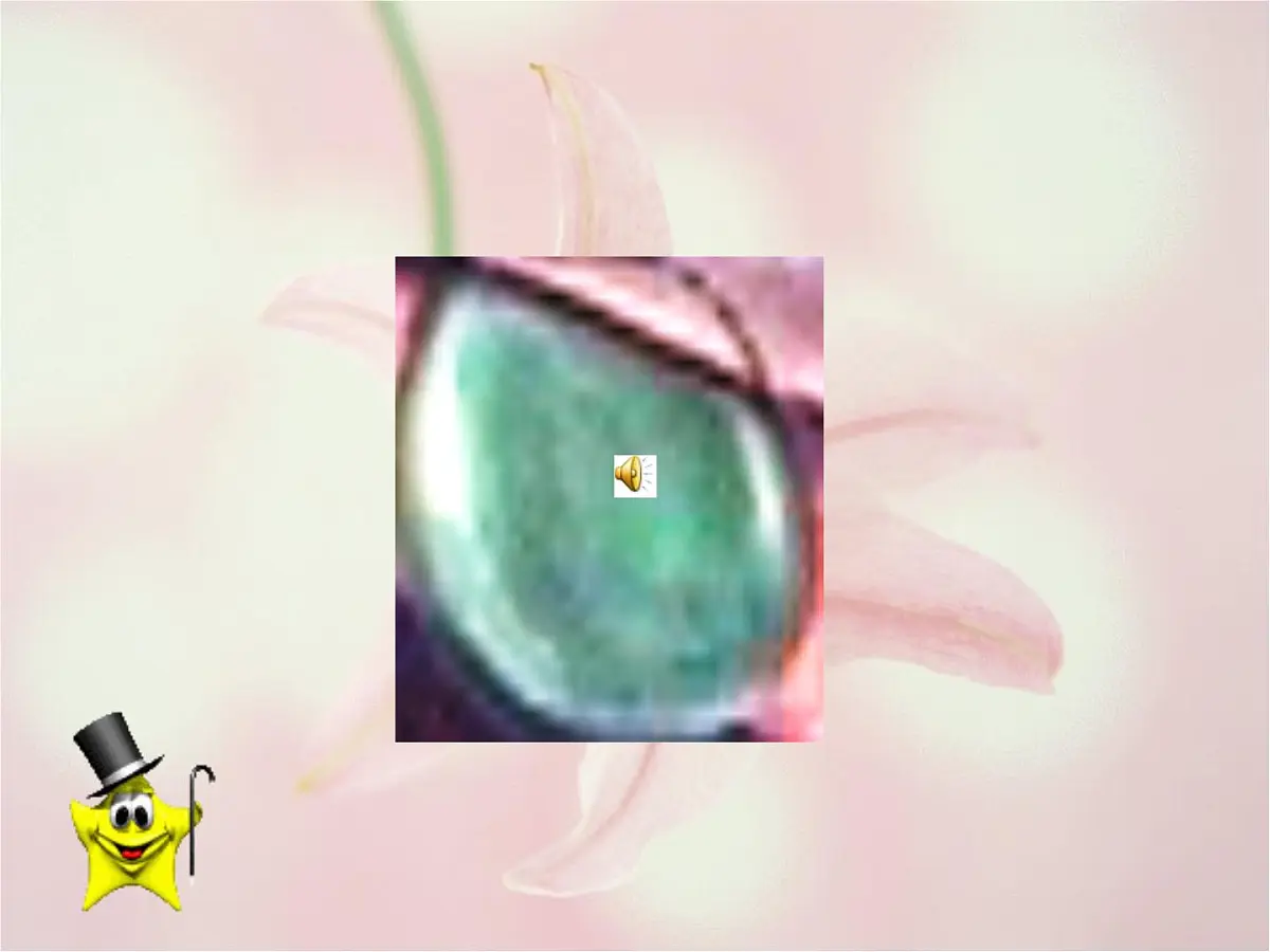 大班科学：鱼宝宝的秘密课件第5页
