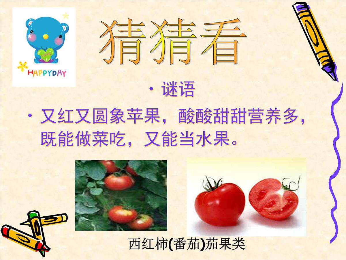 幼儿园大班常识课件PPT：多种多样的蔬菜第6页