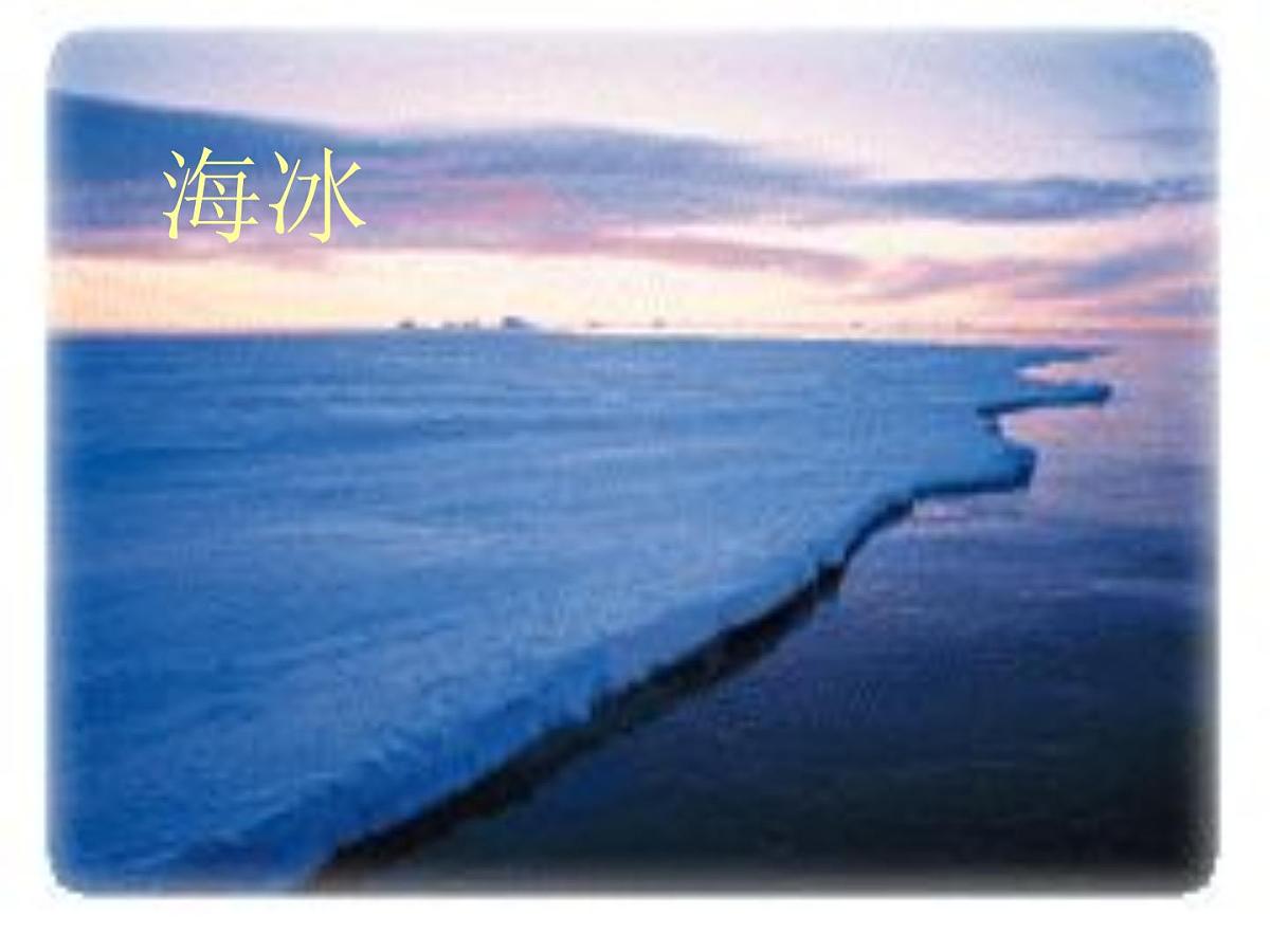 幼儿园大班科学PPT课件：地球的南极与北极第6页