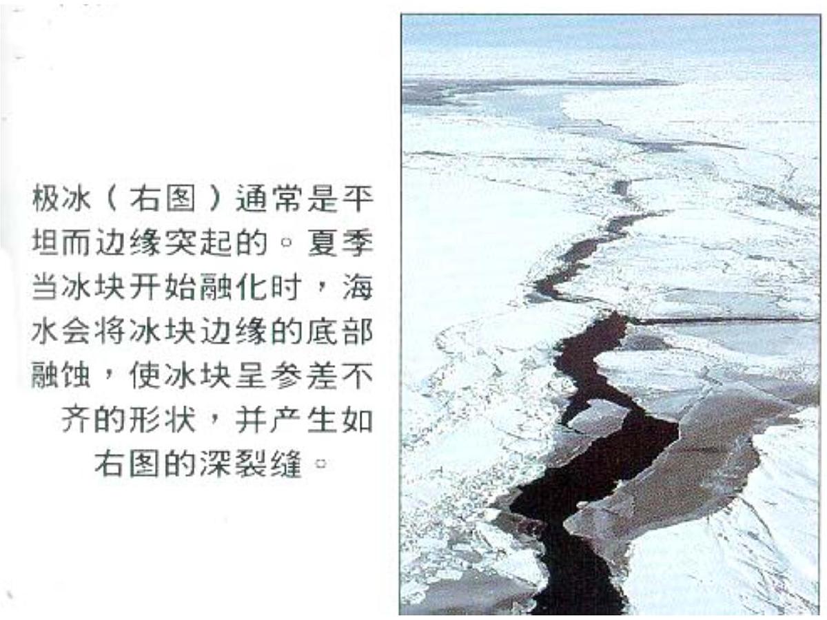 幼儿园大班科学PPT课件：地球的南极与北极第8页
