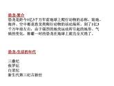 幼兒園大班科學教學PPT：恐龍