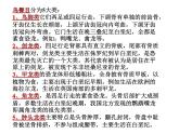 幼兒園大班科學教學PPT：恐龍