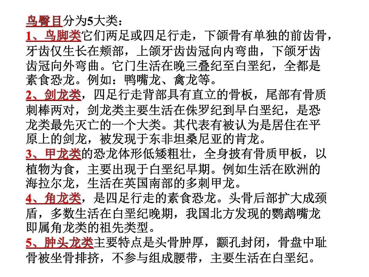 幼儿园大班科学教学PPT：恐龙第3页
