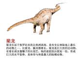 幼兒園大班科學教學PPT：恐龍