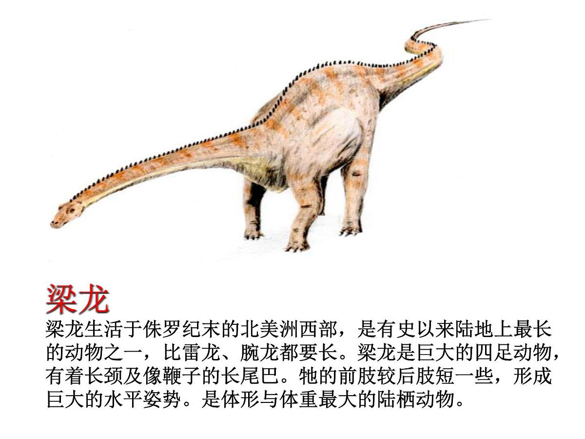 幼儿园大班科学教学PPT：恐龙第5页