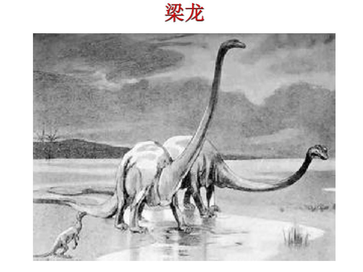 幼儿园大班科学教学PPT：恐龙第6页