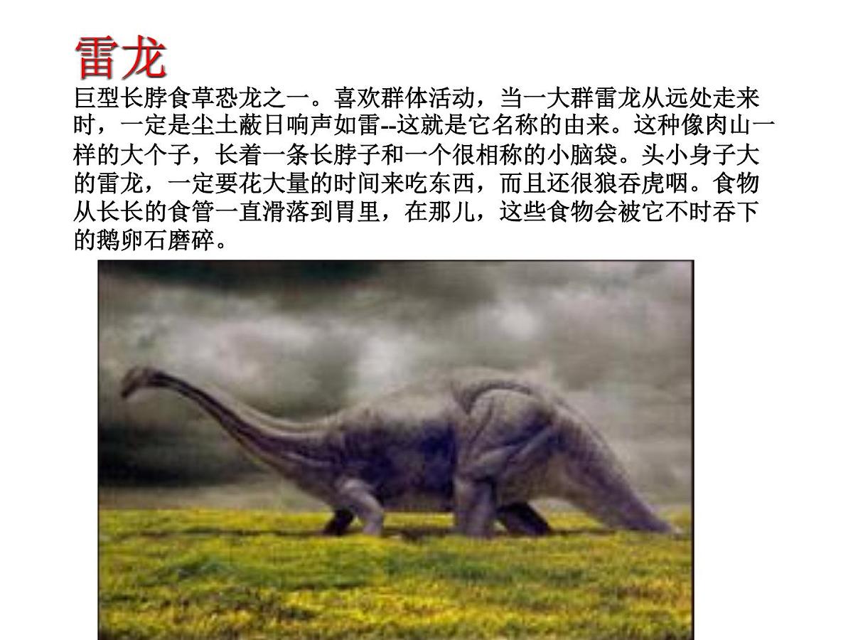 幼儿园大班科学教学PPT：恐龙第7页