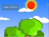 幼兒園聰明的烏龜課件ppt課件
