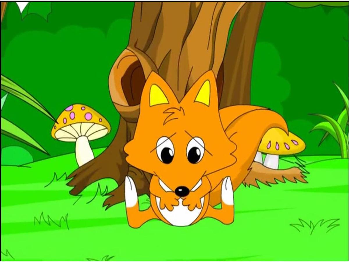 幼儿园聪明的乌龟课件ppt课件第6页