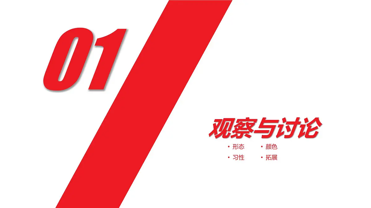 学前教育大班《打球赛的黑鼻羊》课件第3页