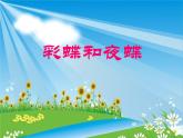 彩蝶和夜蝶課件