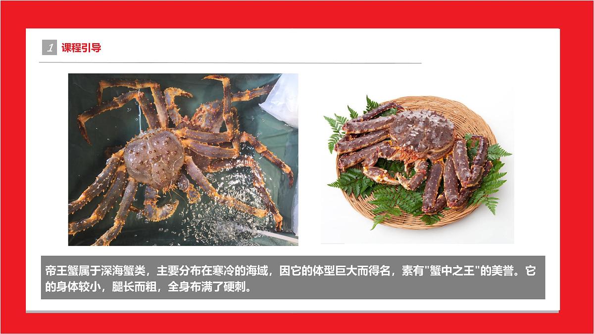 学前教育大班《帝王蟹》课件第4页