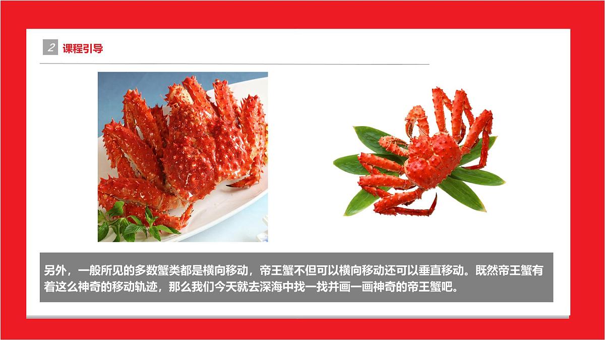 学前教育大班《帝王蟹》课件第5页