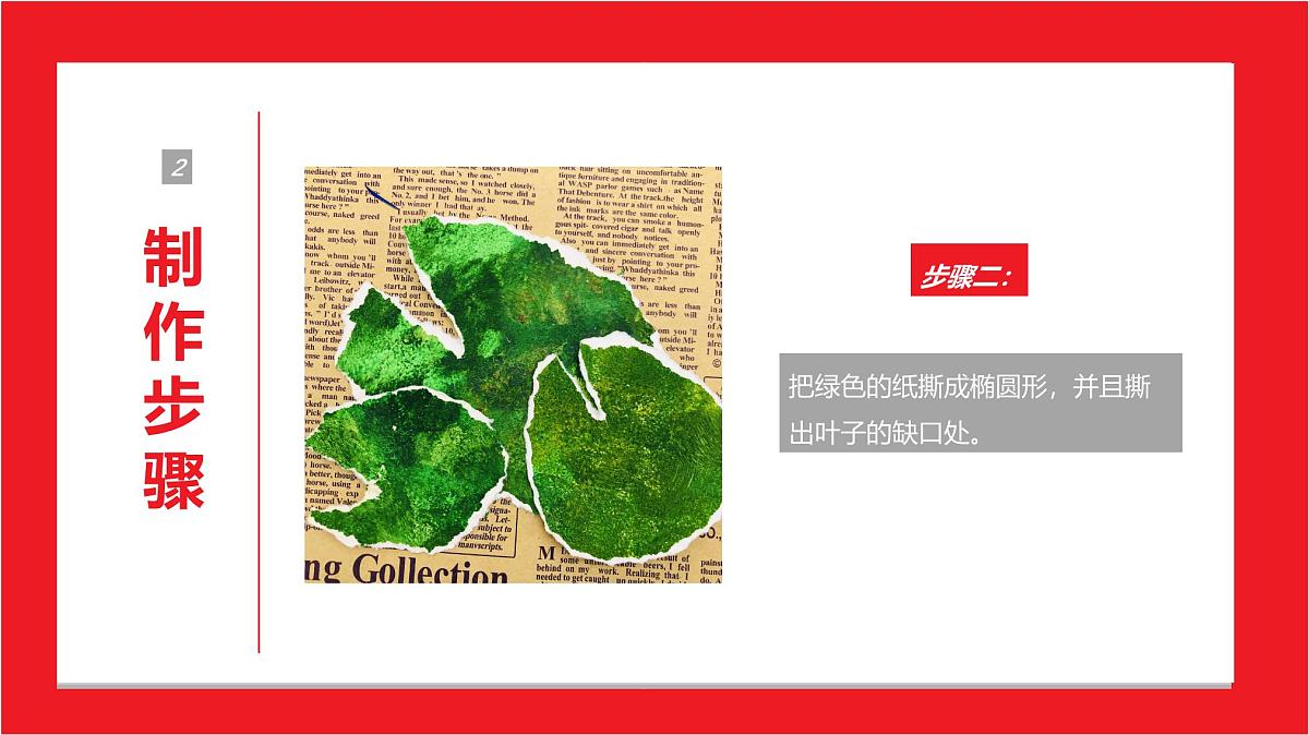 学前教育大班《睡莲》课件第8页