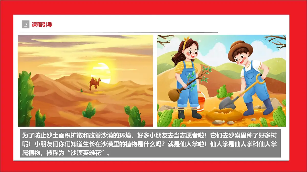学前教育大班《仙人掌》课件第4页