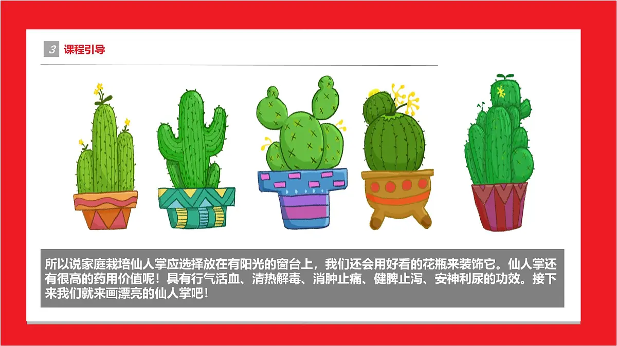 学前教育大班《仙人掌》课件第6页