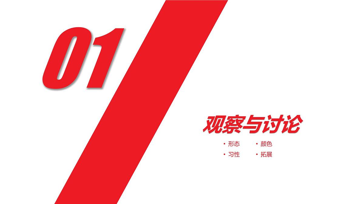 学前教育大班《欢度国庆》课件第3页