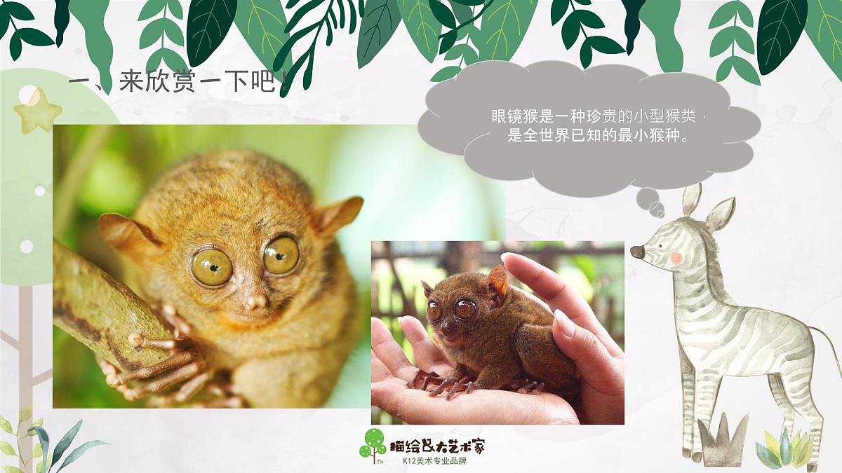 学前教育大班《大眼猴》课件第8页