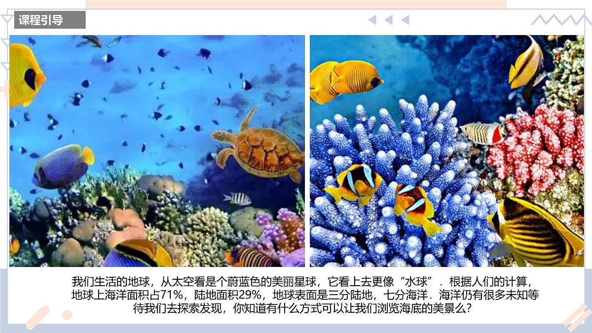 学前教育大班《海底潜水员》课件第3页