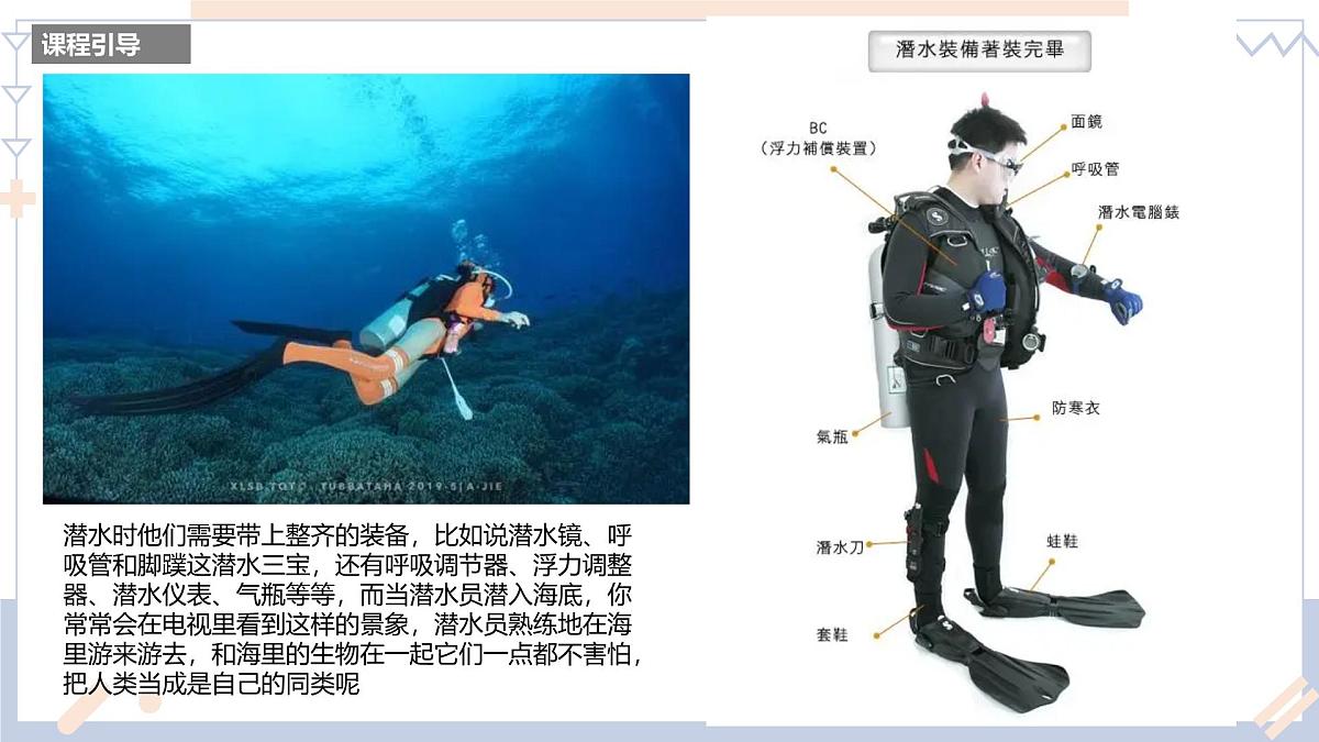 学前教育大班《海底潜水员》课件第6页
