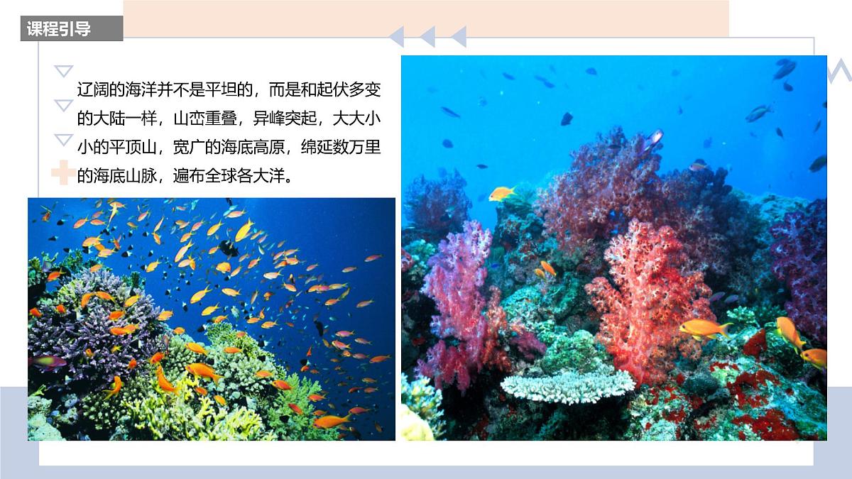 学前教育大班《海底潜水员》课件第8页