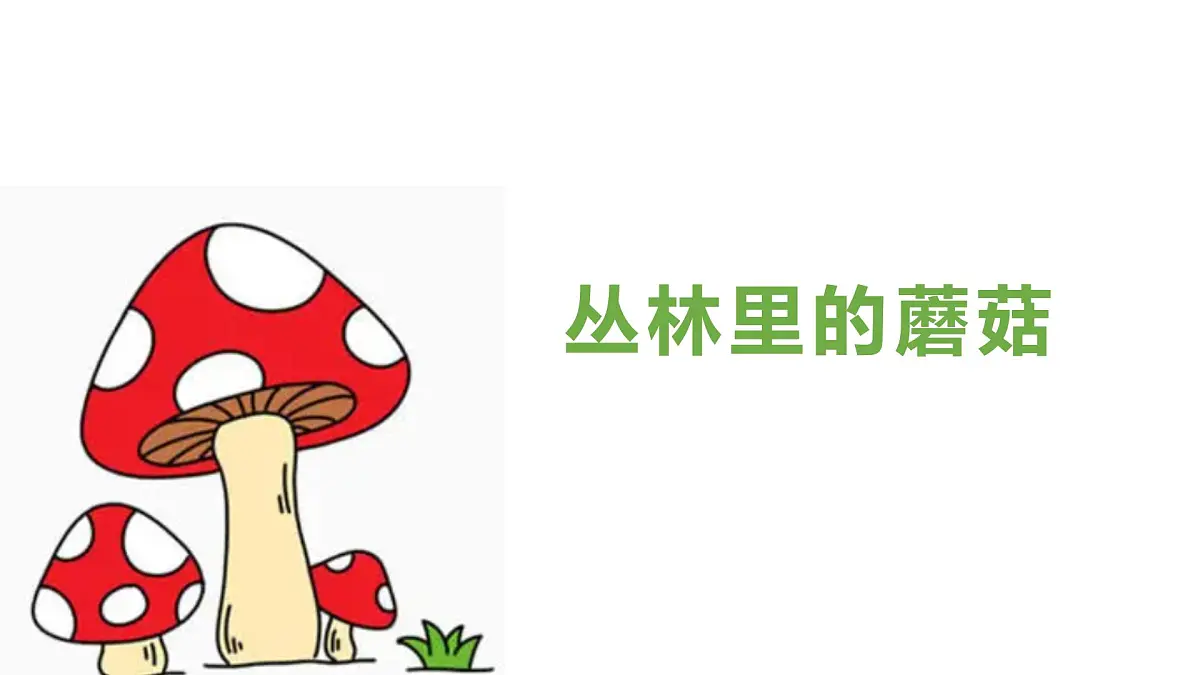 学前教育大班《丛林里的蘑菇》课件第1页