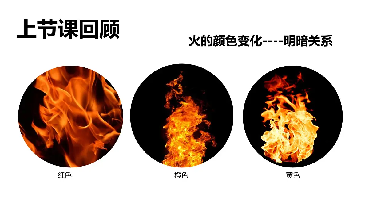 学前教育大班《丛林里的蘑菇》课件第3页