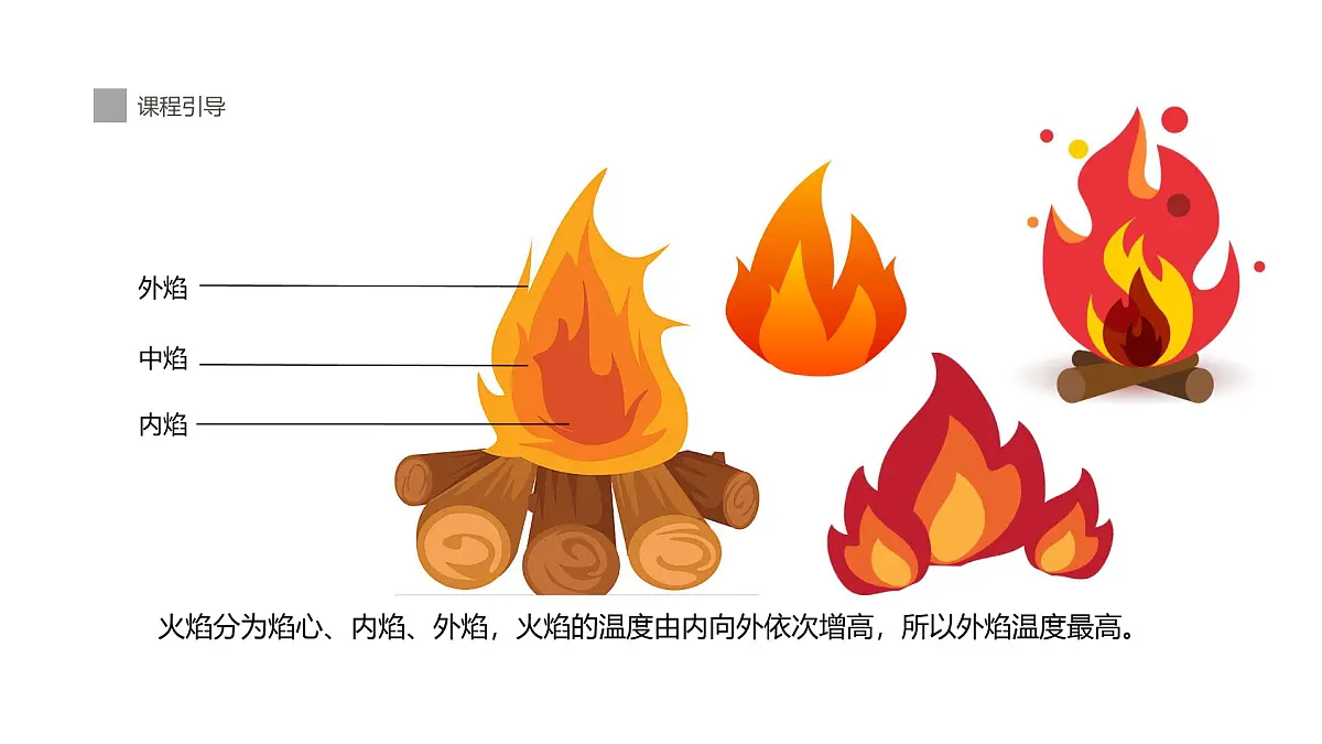 学前教育大班《丛林里的蘑菇》课件第4页