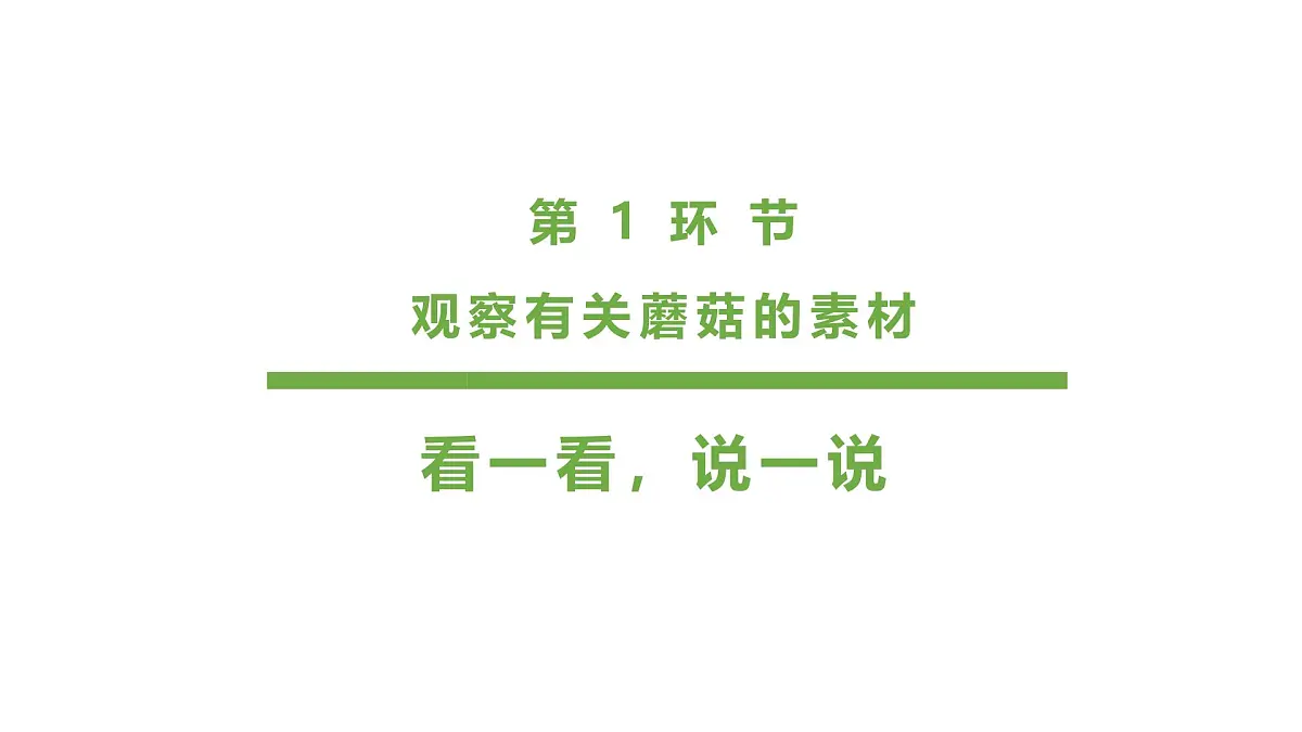 学前教育大班《丛林里的蘑菇》课件第5页