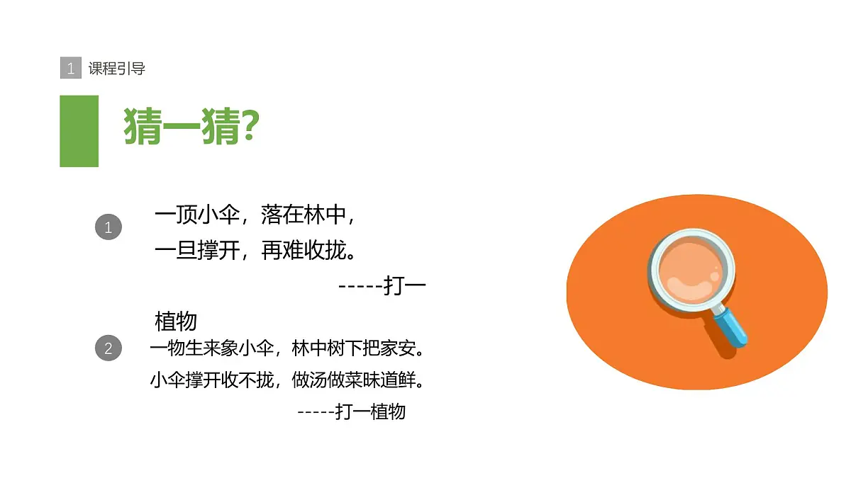 学前教育大班《丛林里的蘑菇》课件第6页