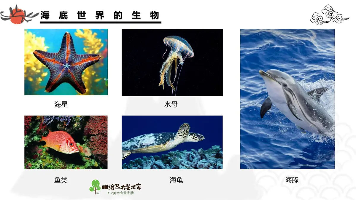 学前教育大班《海底世界》课件第8页