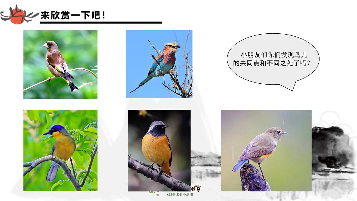 学前教育大班《小鸟的家》课件第7页