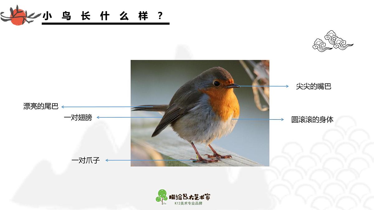 学前教育大班《小鸟的家》课件第8页