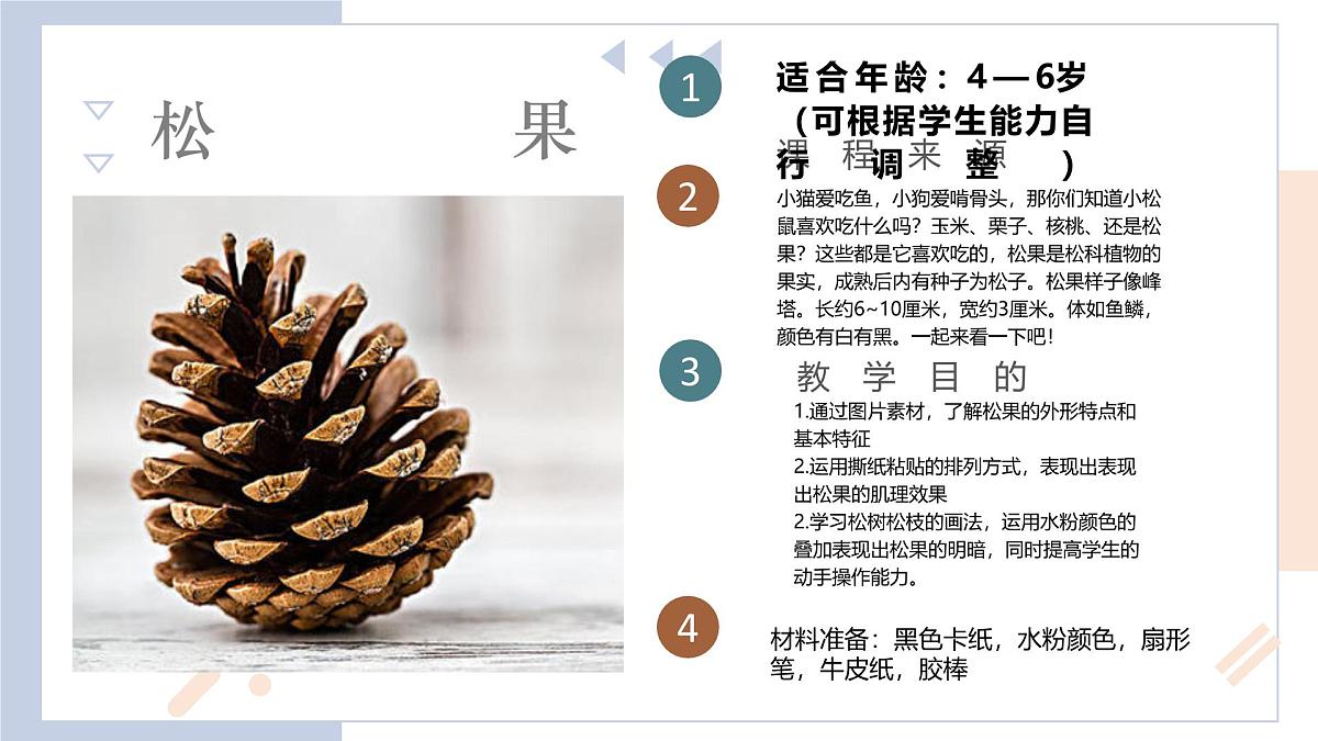 学前教育大班《松果》课件第2页