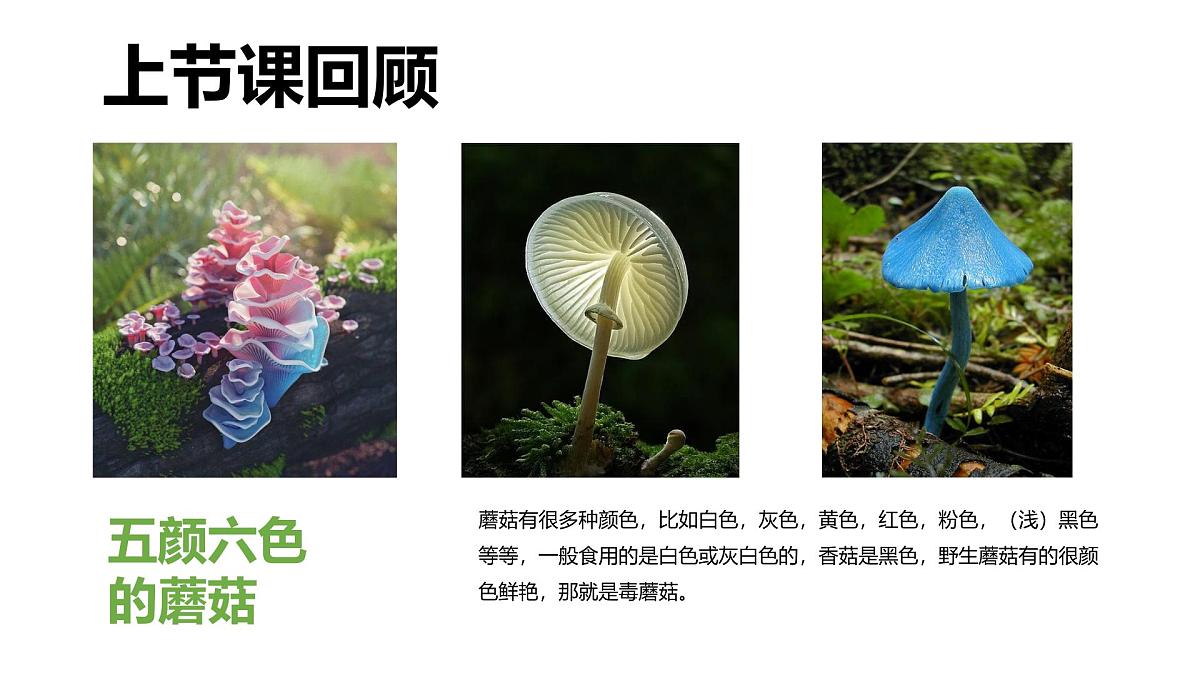 学前教育大班《精灵发型》课件第3页
