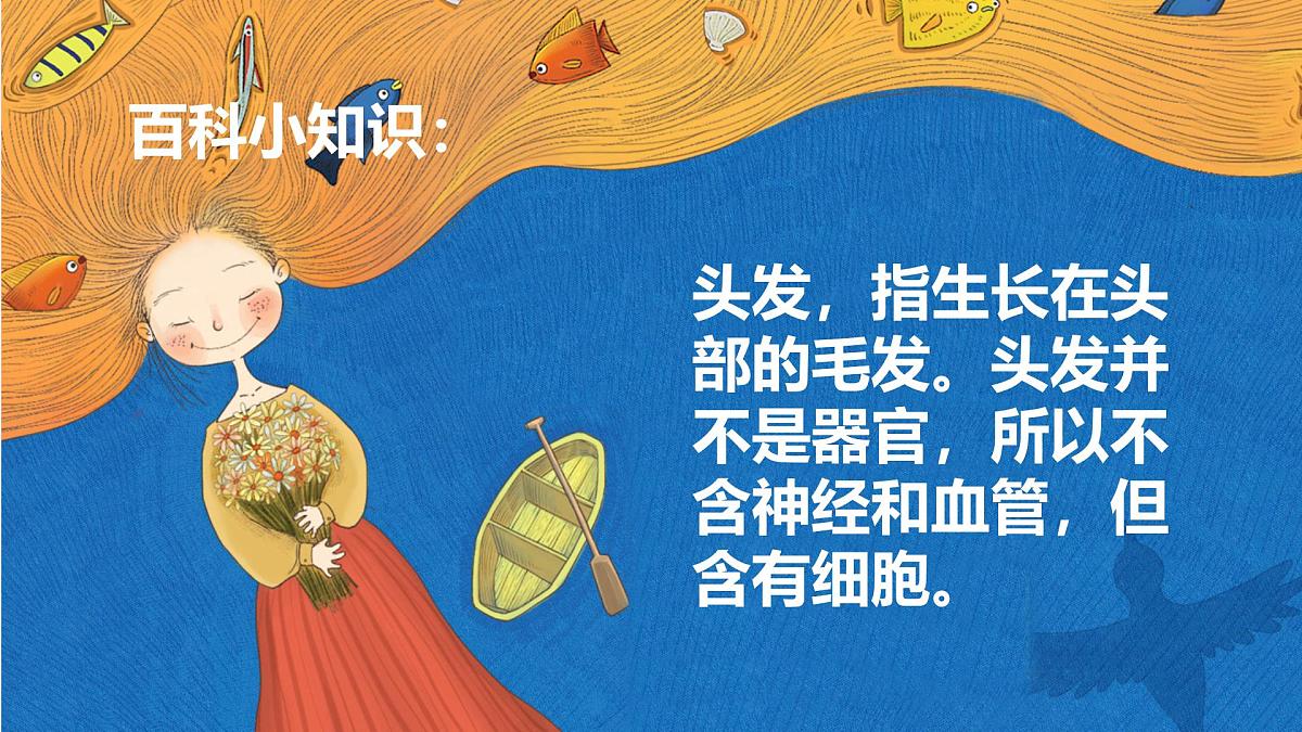 学前教育大班《精灵发型》课件第8页