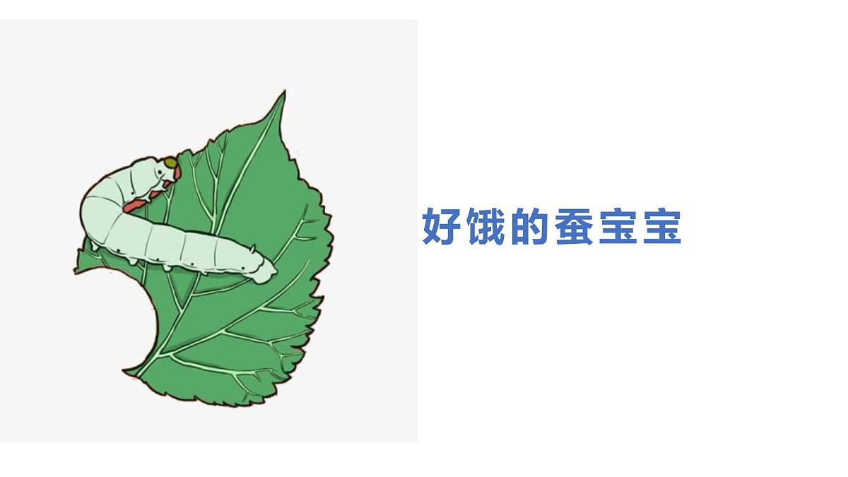 学前教育大班《好饿的蚕宝宝》课件第1页