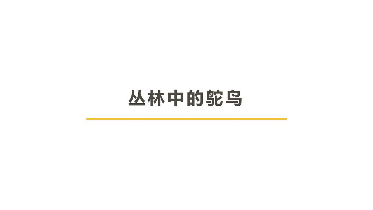 学前教育大班《鸵鸟》课件第1页