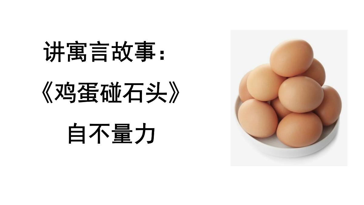 学前教育大班《鸵鸟》课件第5页