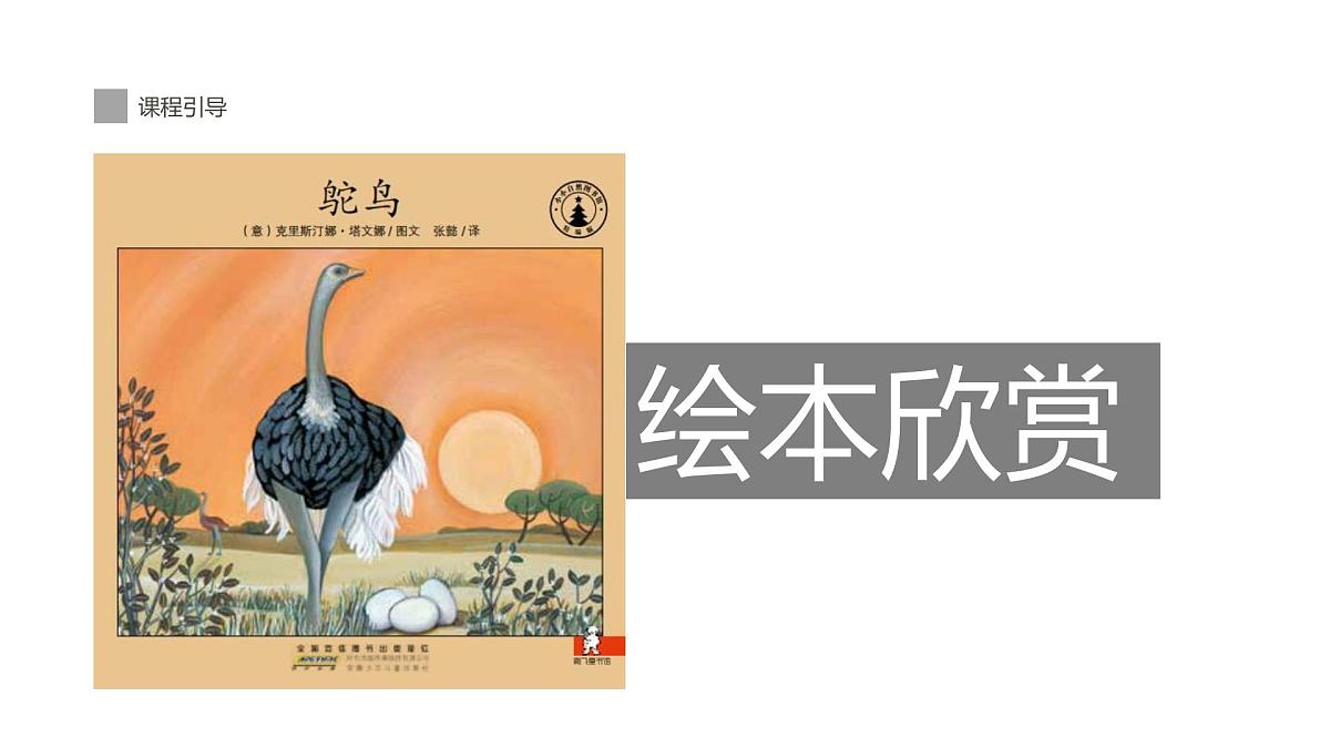 学前教育大班《鸵鸟》课件第7页