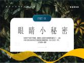 藍畫風幼兒園近視防控保護視力宣傳教育 課件