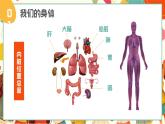 簡約風幼兒園我們的身體主題教育 課件