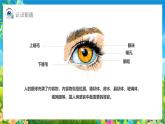 呵護小眼睛讓視界更精彩課件