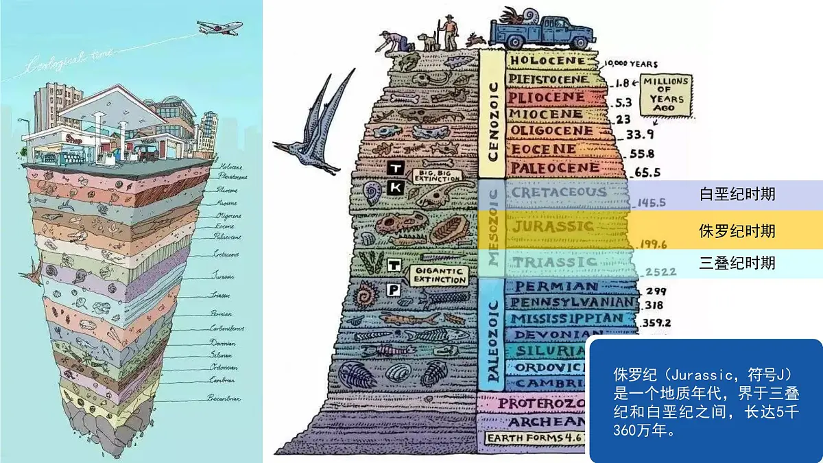 学前教育大班《恐龙文化.重返侏罗纪时期》课件第7页