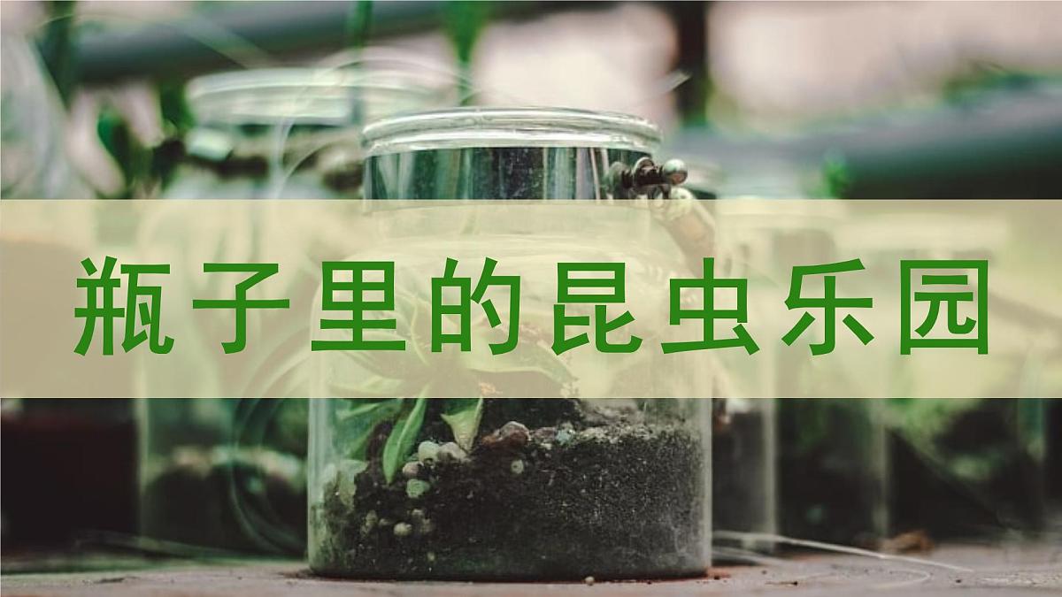 学前教育大班《生态文化.瓶子里的昆虫乐园》课件第1页