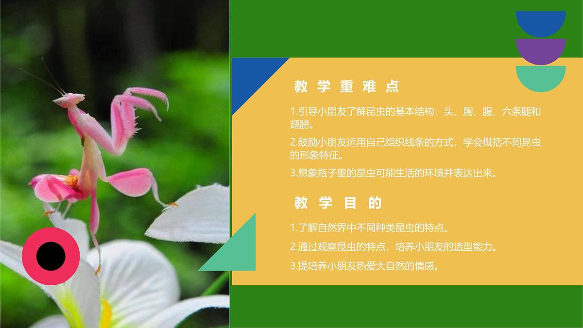 学前教育大班《生态文化.瓶子里的昆虫乐园》课件第2页