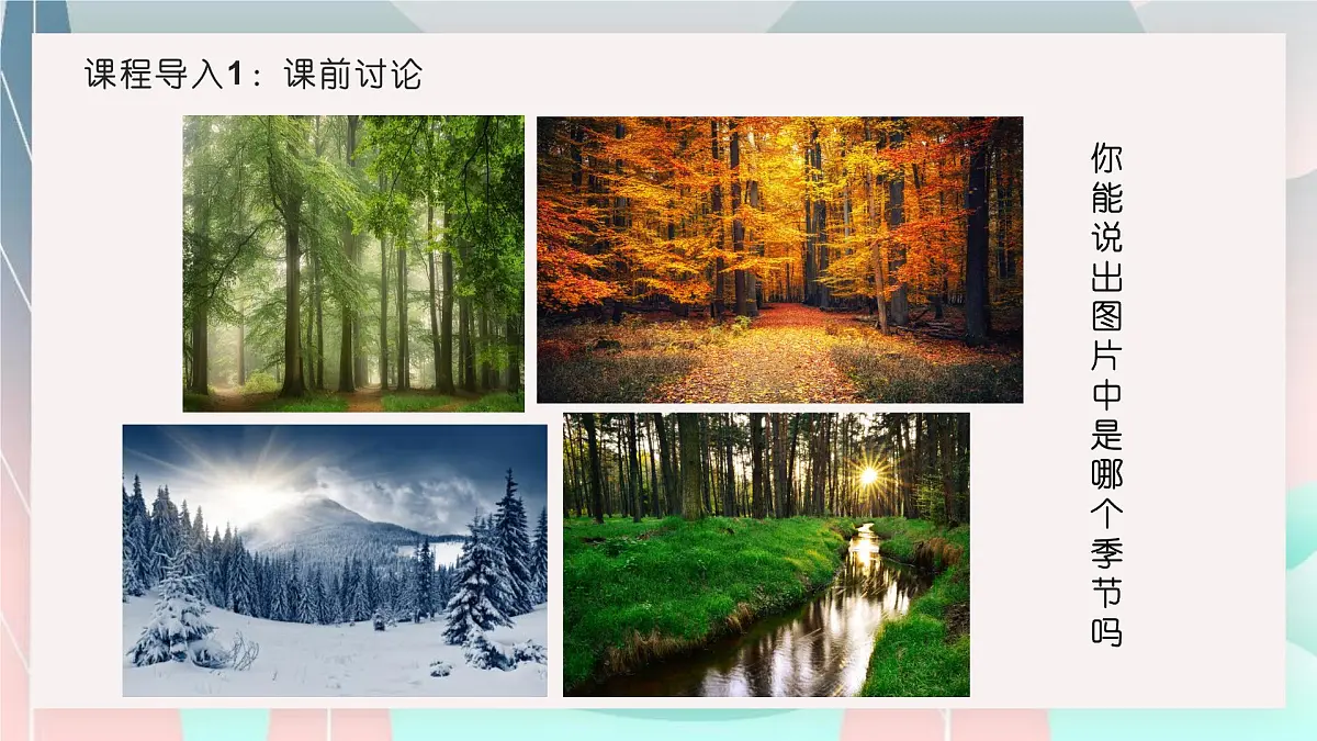 学前教育大班《四季的森林》课件第3页